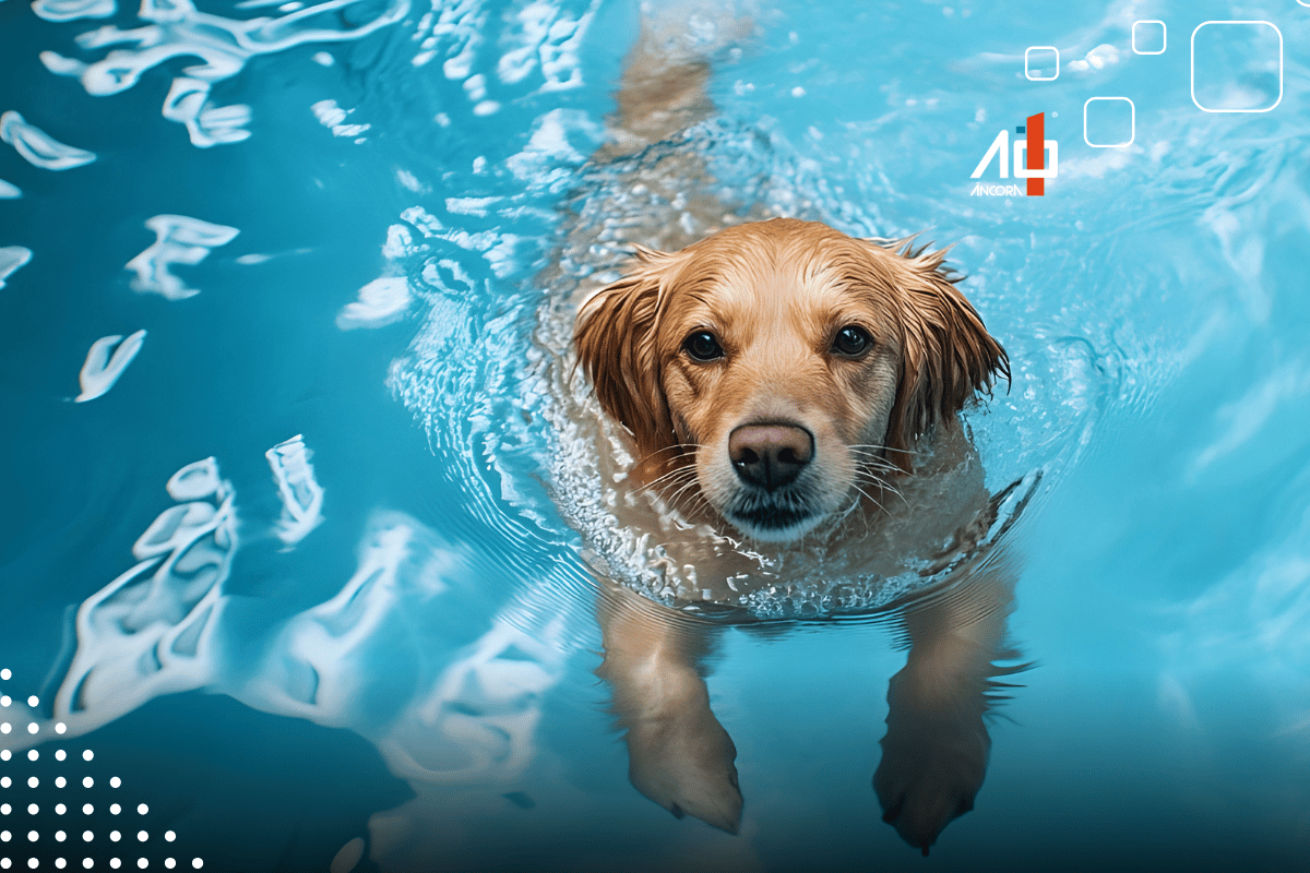 Descrição da imagem