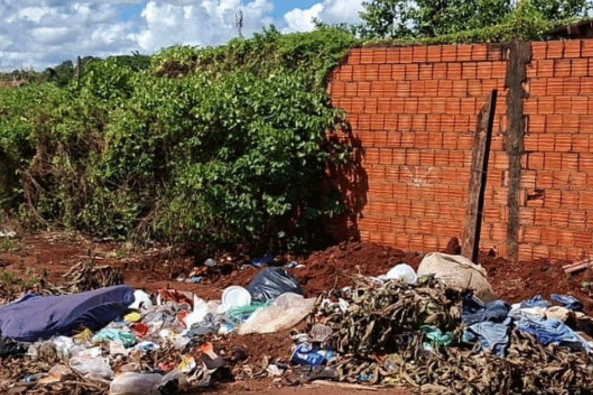 Descrição da imagem