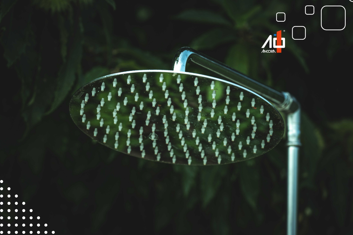 Descrição da imagem