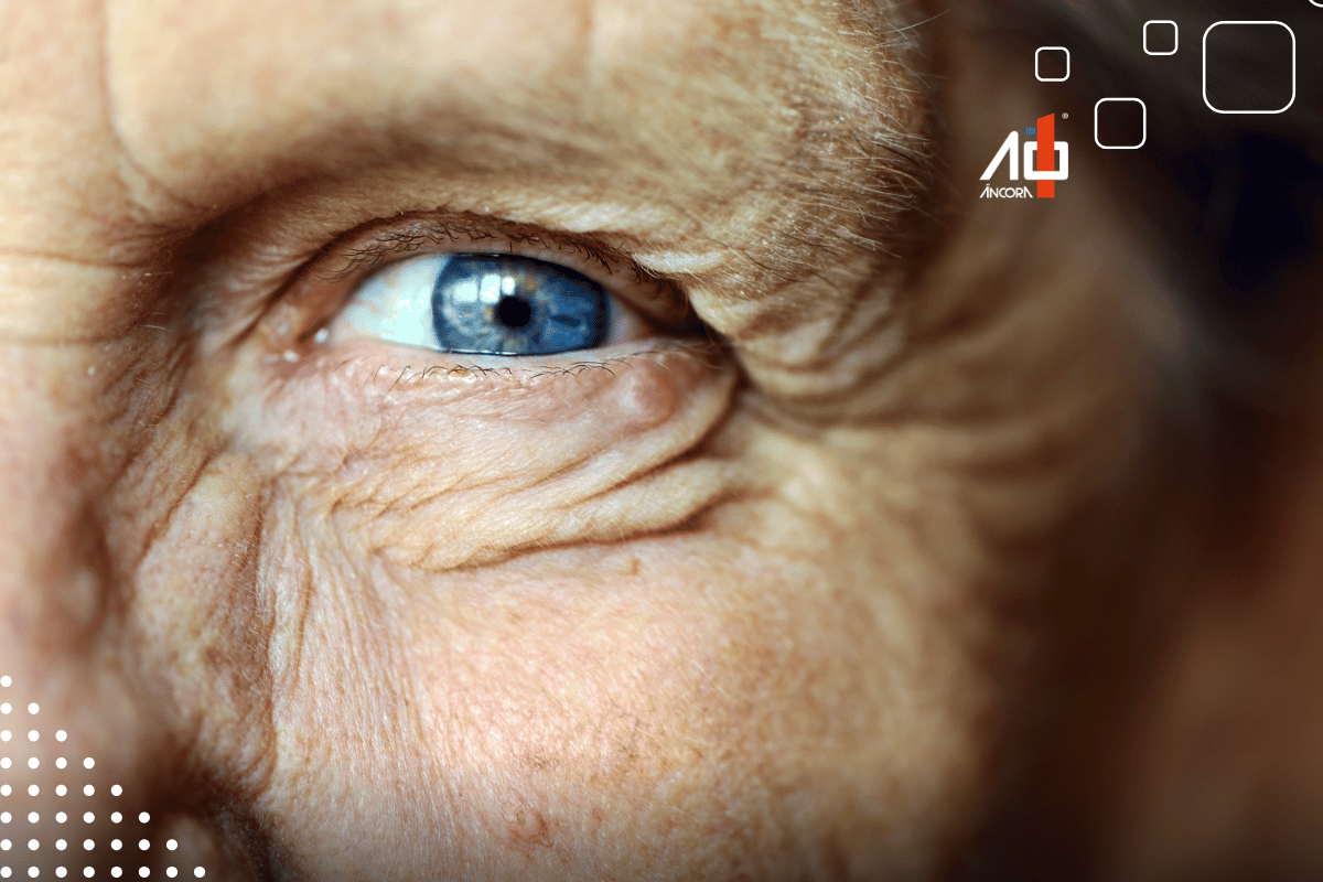 Descrição da imagem