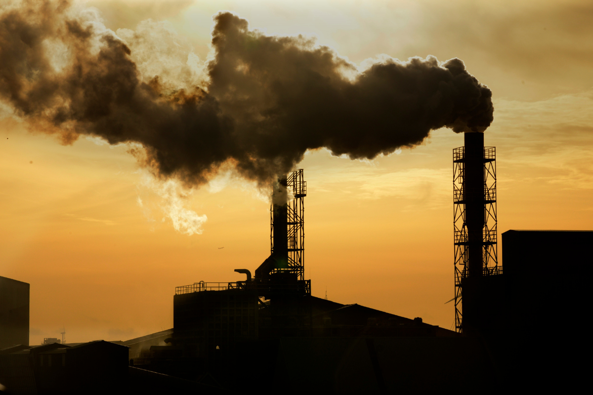 Descrição da imagem