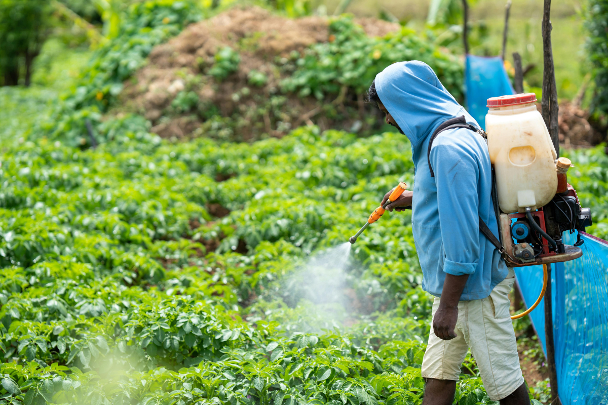 Descrição da imagem