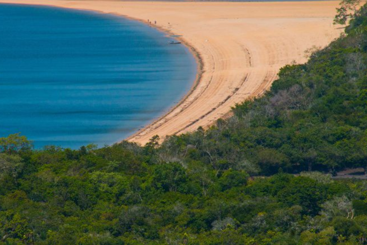 Descrição da imagem