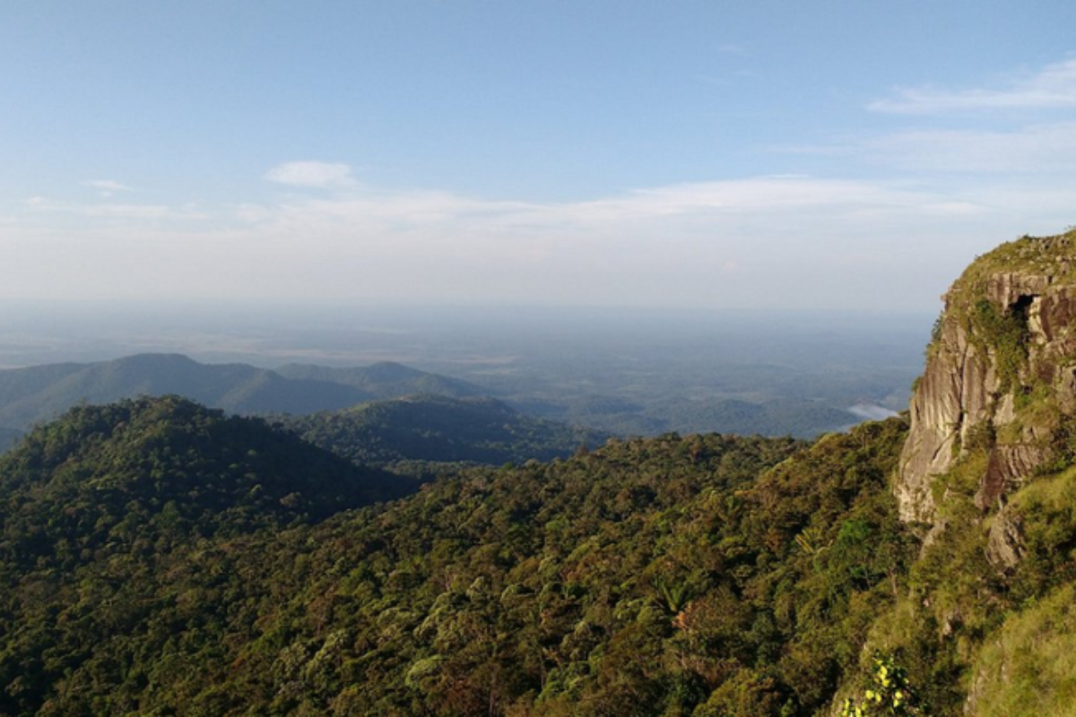 Descrição da imagem