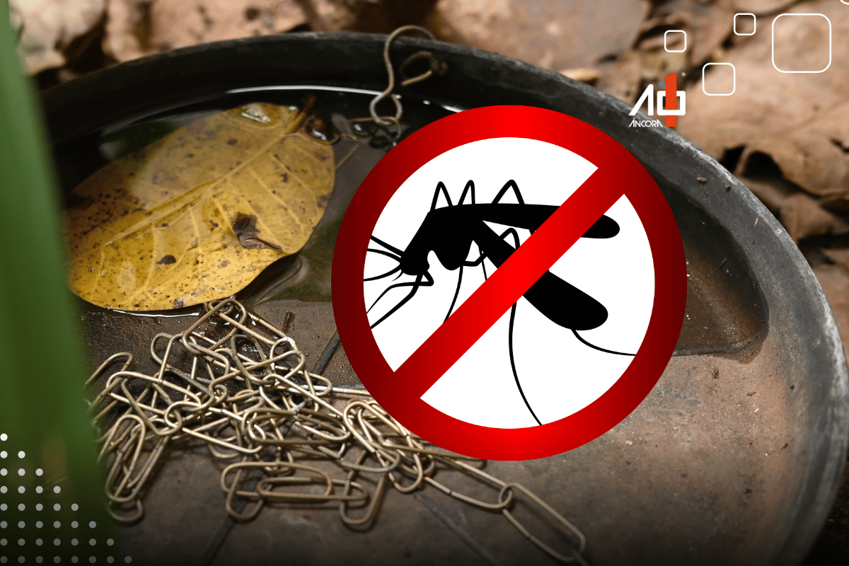 Descrição da imagem