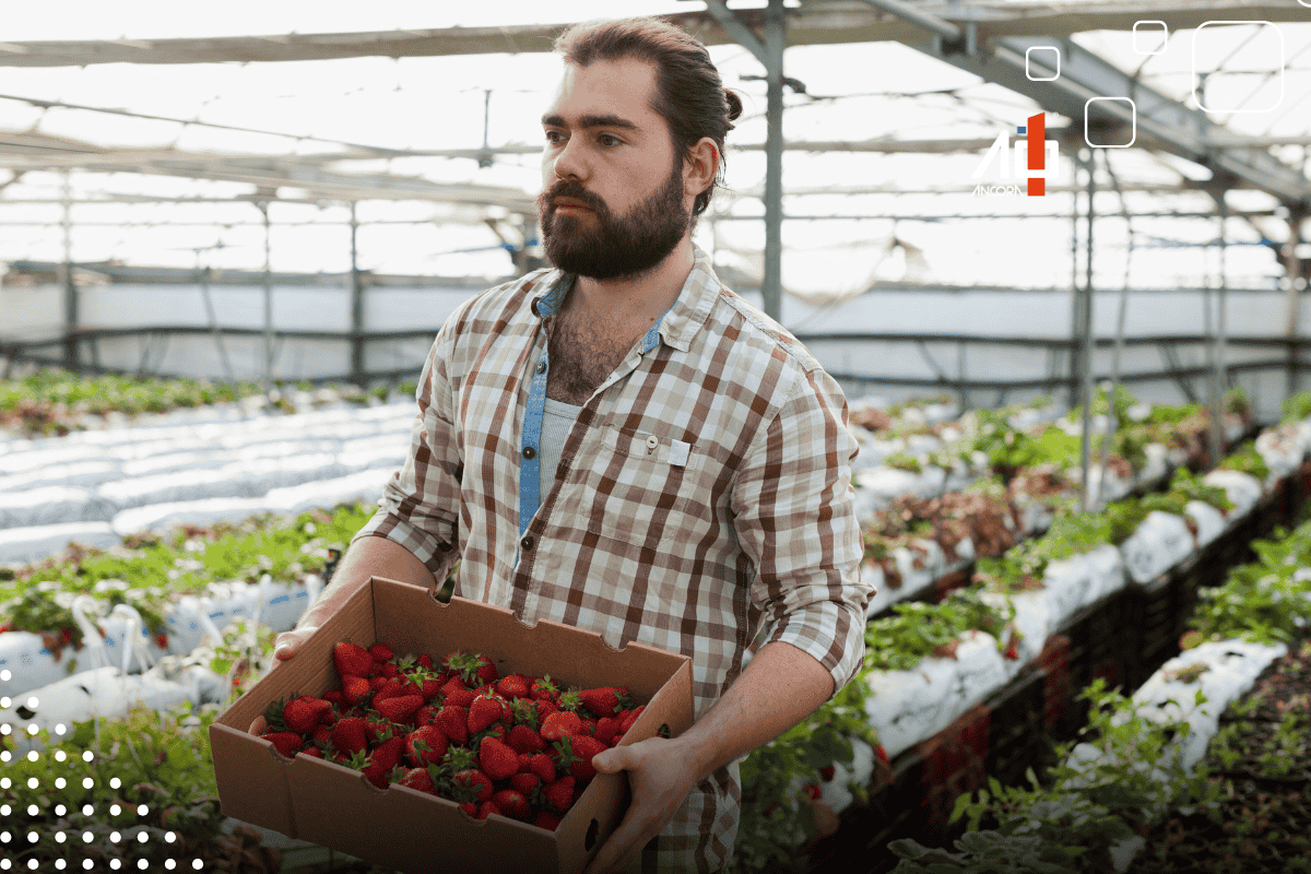 Descrição da imagem