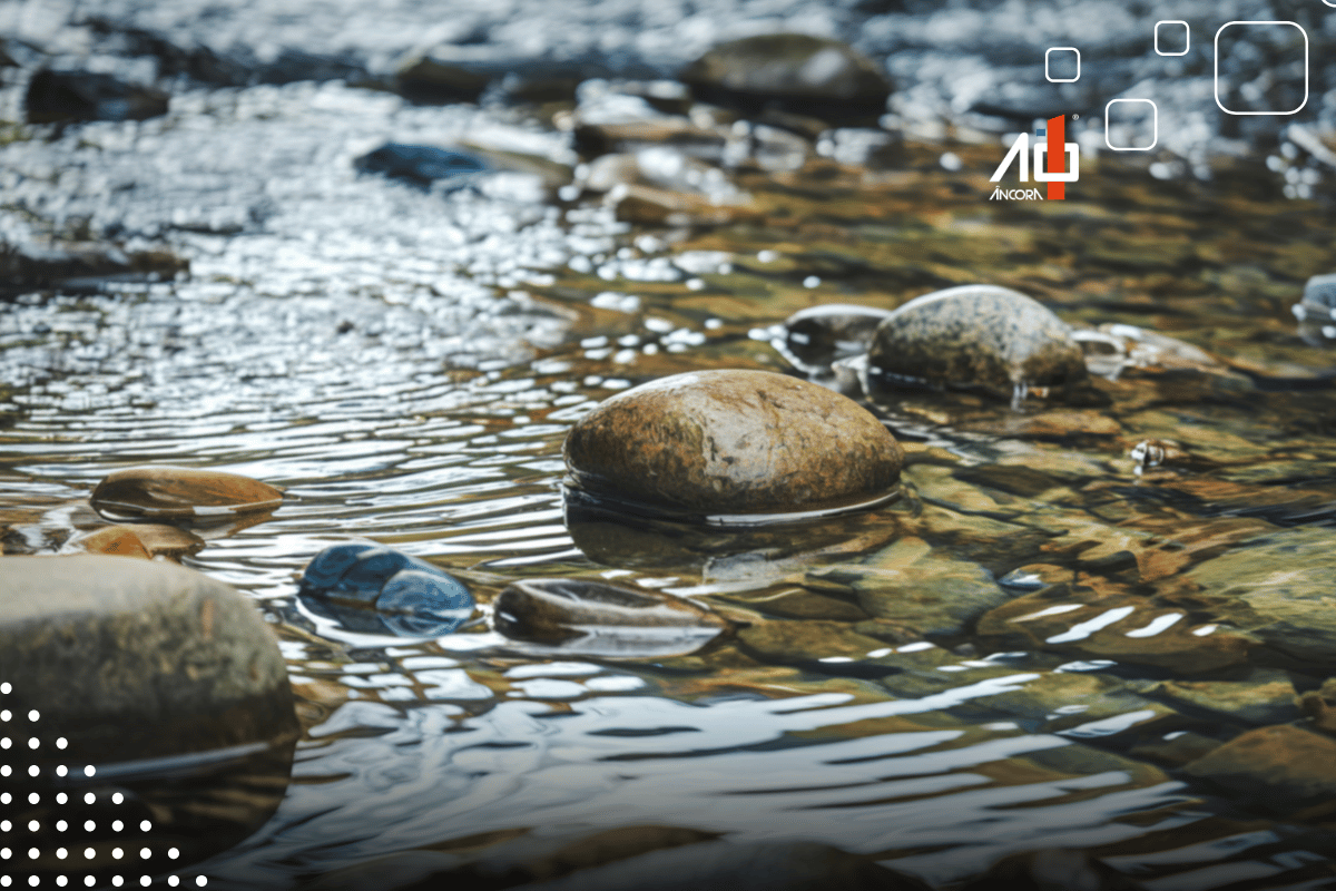 Descrição da imagem