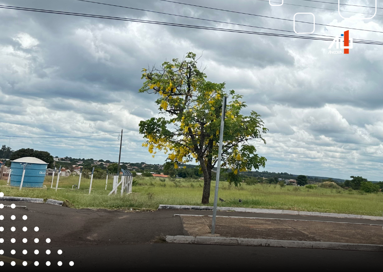 Descrição da imagem