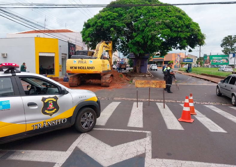 Descrição da imagem