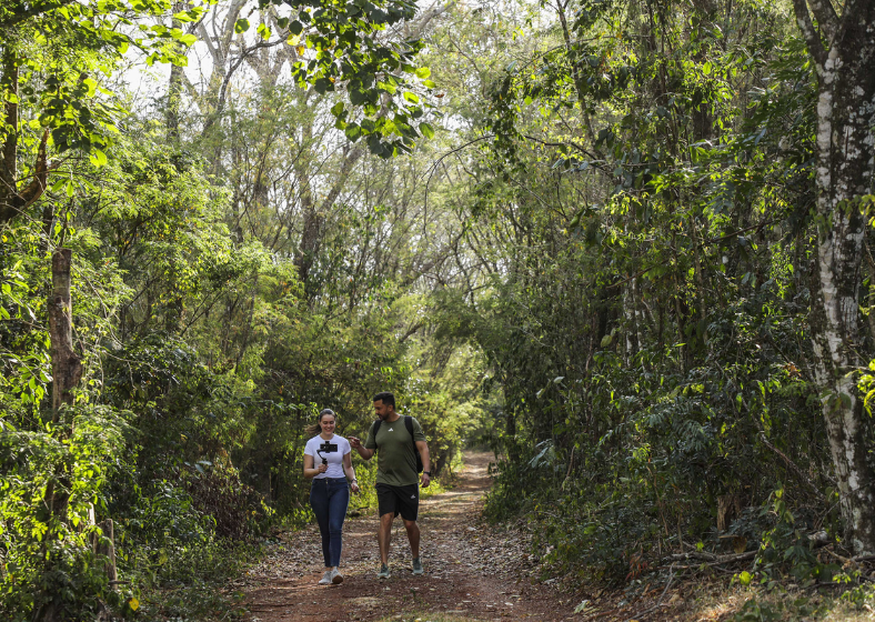 Descrição da imagem