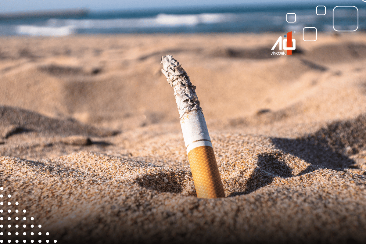 Descrição da imagem