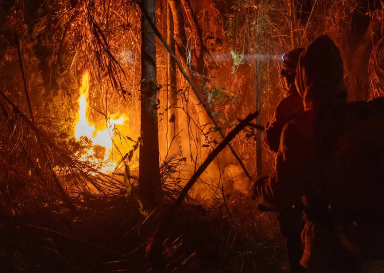 O estado mais atingido pelo fogo no ano passado foi o Pará, seguido de Mato Grosso e do Tocantins.