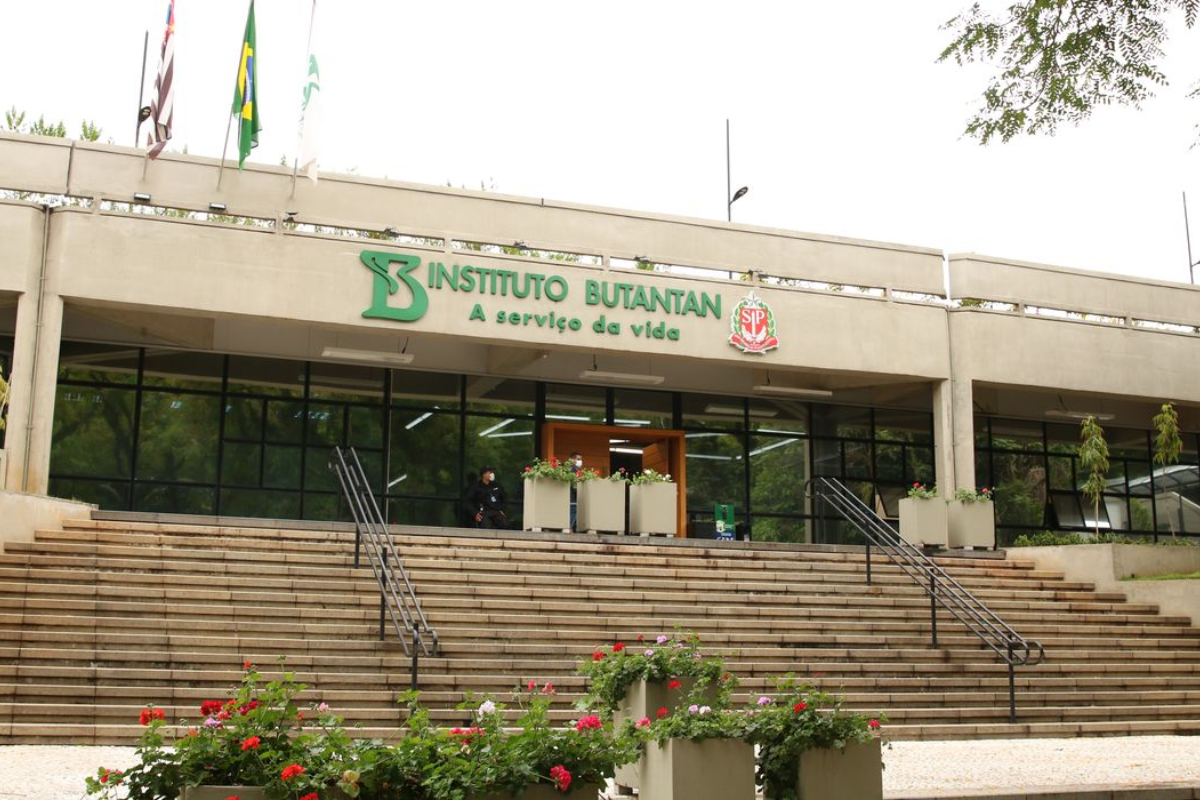 Descrição da imagem