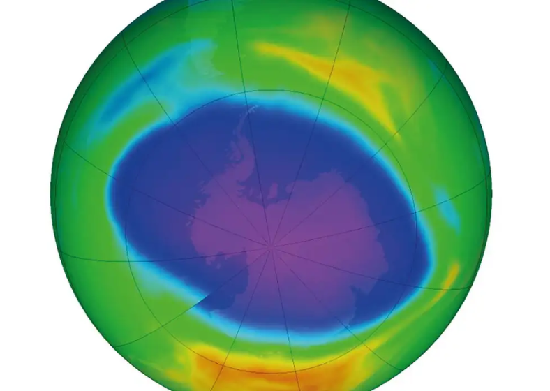 Descrição da imagem