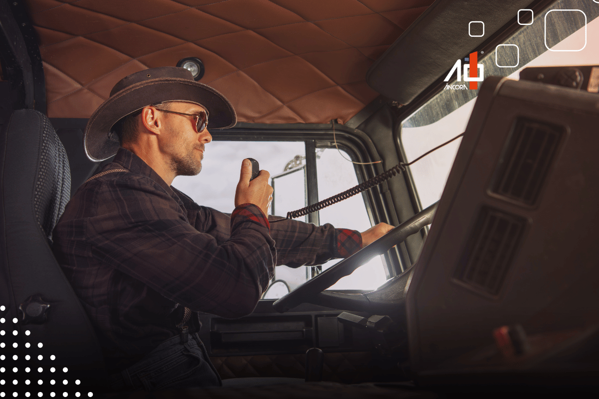 Descrição da imagem