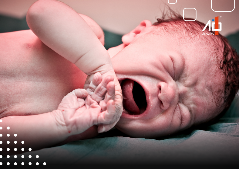 Descrição da imagem