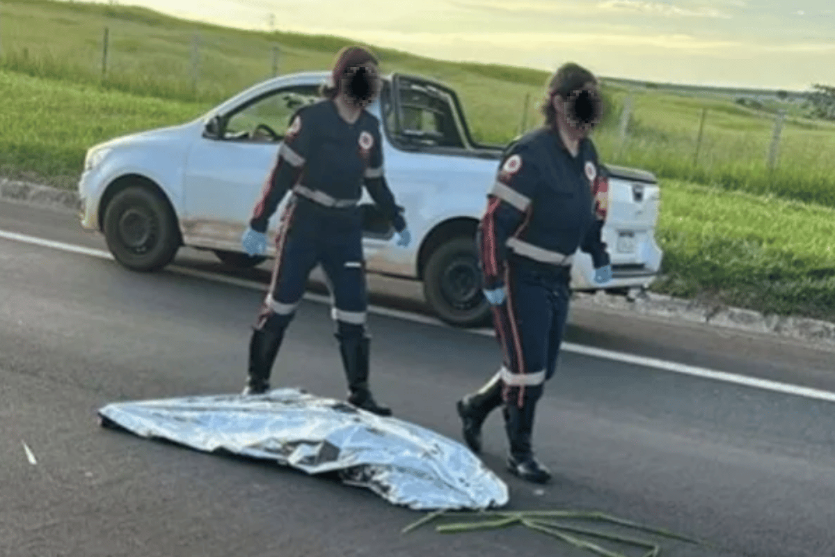 Descrição da imagem