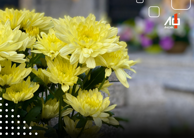 Descrição da imagem