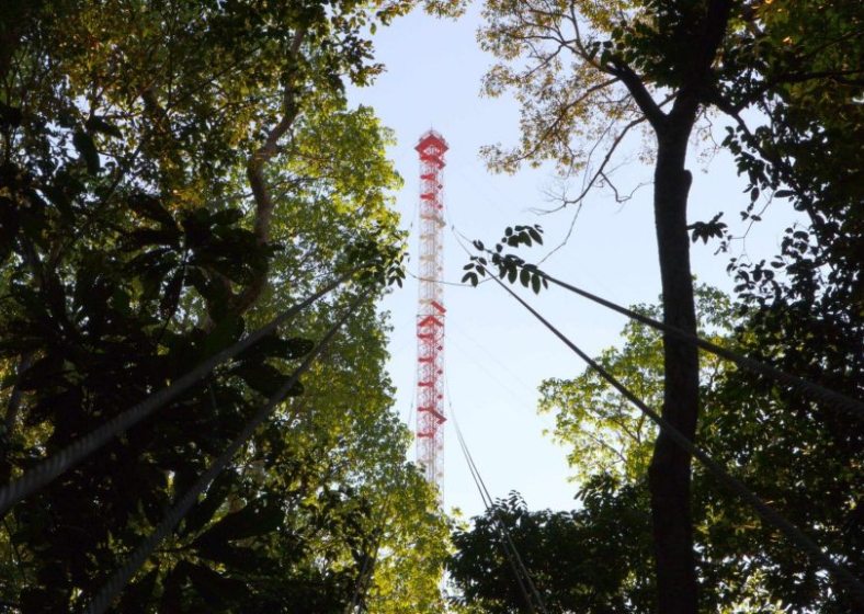 Descrição da imagem