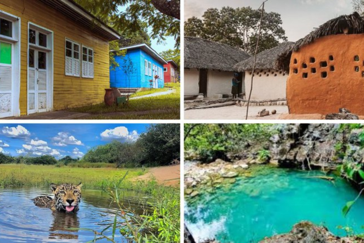 Descrição da imagem