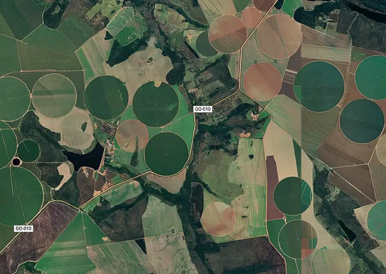 O avanço da supressão de vegetação nativa na região foi mais intenso na última década da pesquisa, entre 2015 e 2024, período em que a região respondeu por 73% da reversão em uso do solo pelo homem.