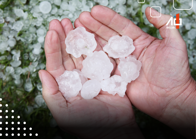 Descrição da imagem