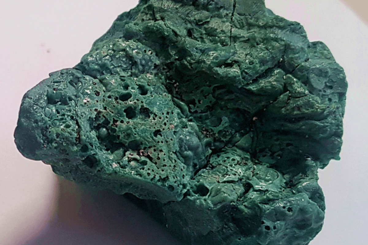 Descrição da imagem