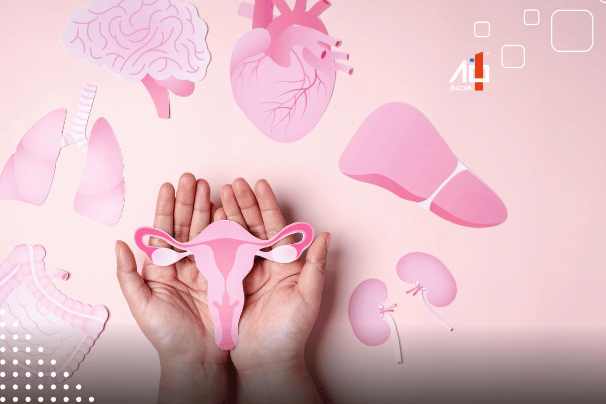 Descrição da imagem