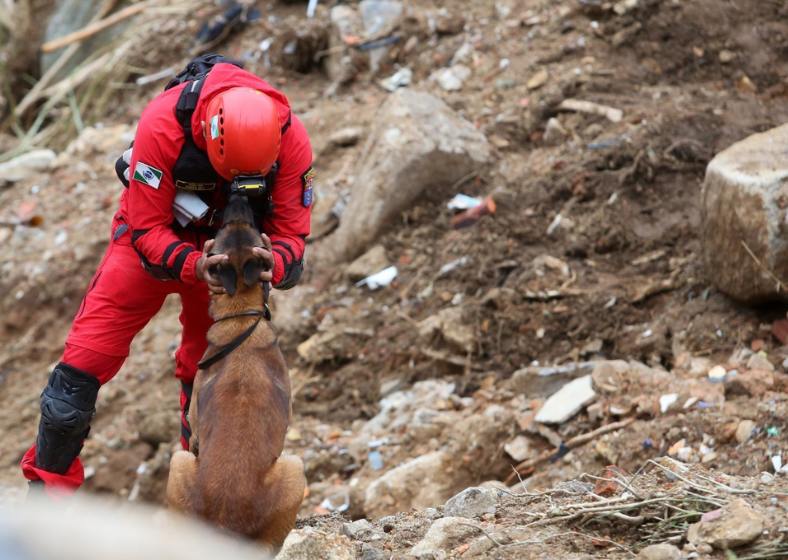 O vínculo entre o bombeiro condutor e seu cão é parte essencial do sucesso das missões.