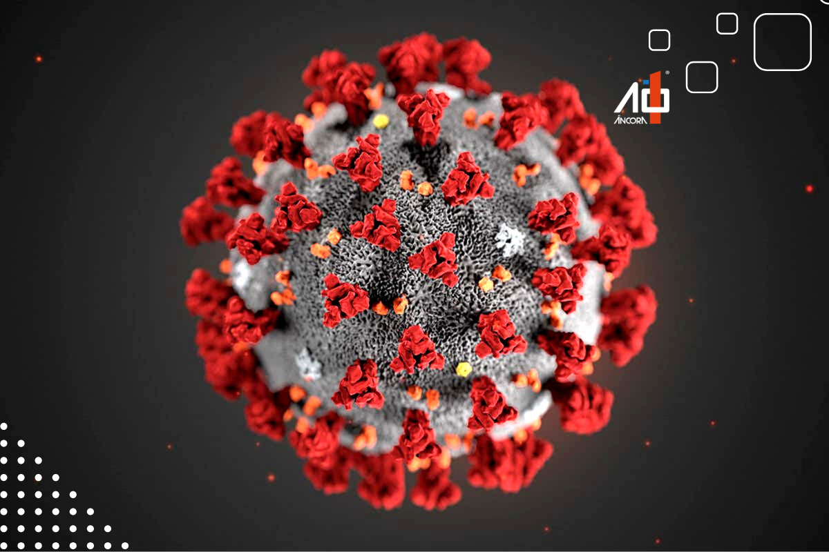 Descrição da imagem