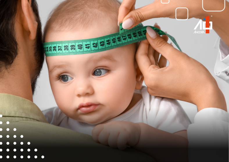 Descrição da imagem