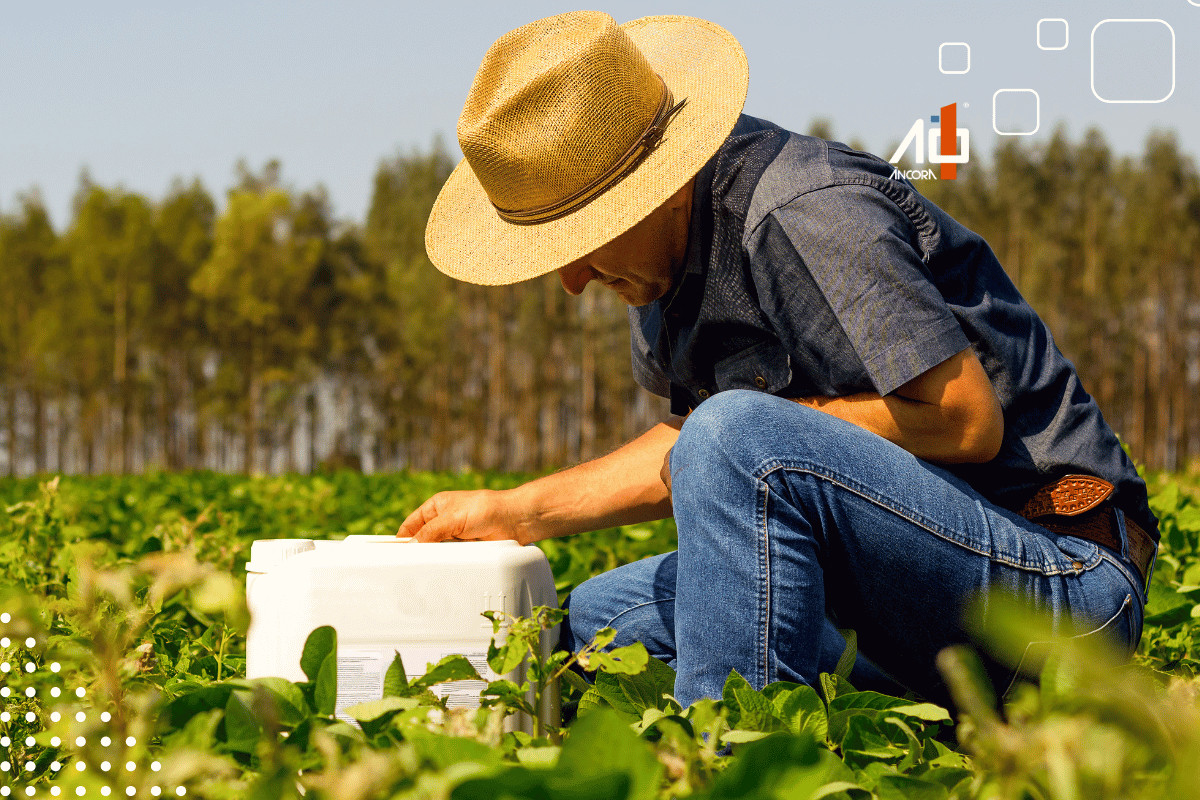 Descrição da imagem