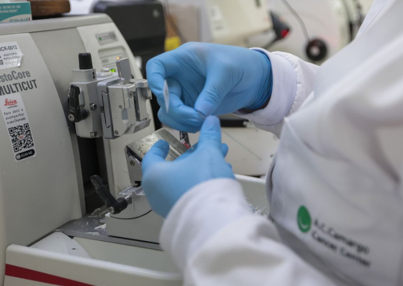 Descrição da imagem