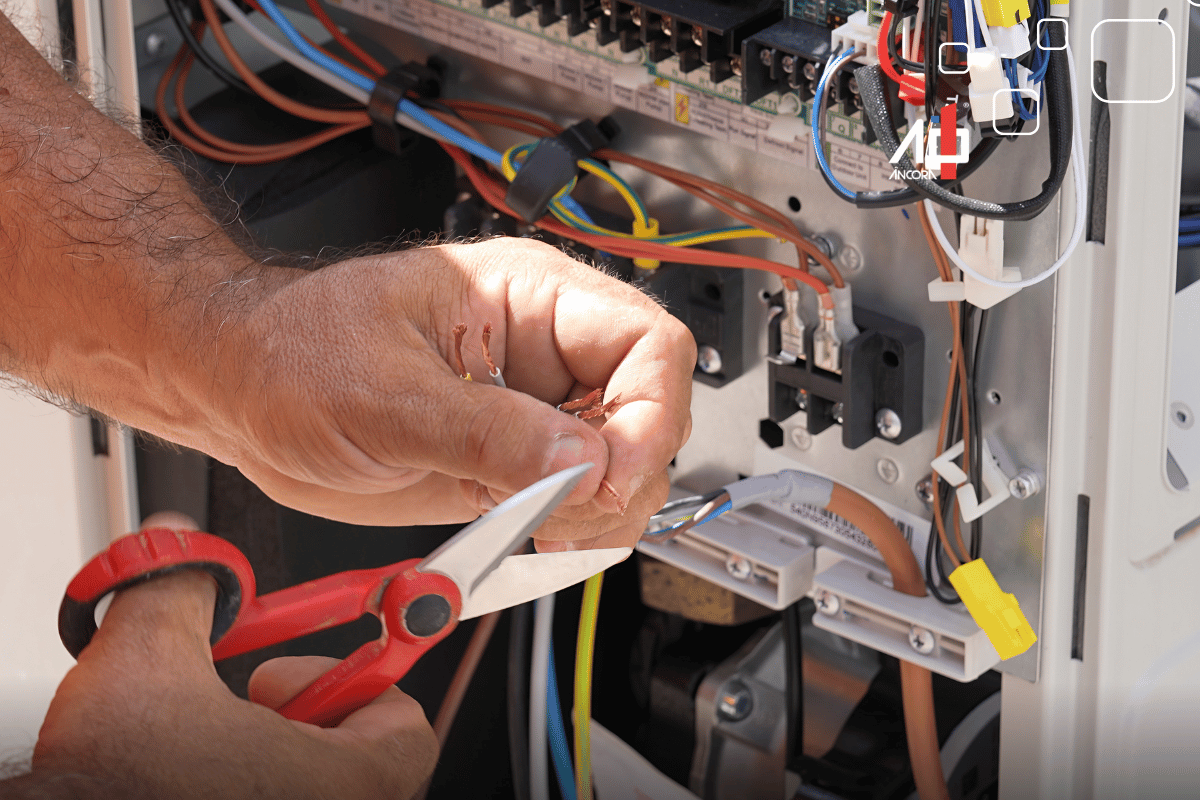 Descrição da imagem