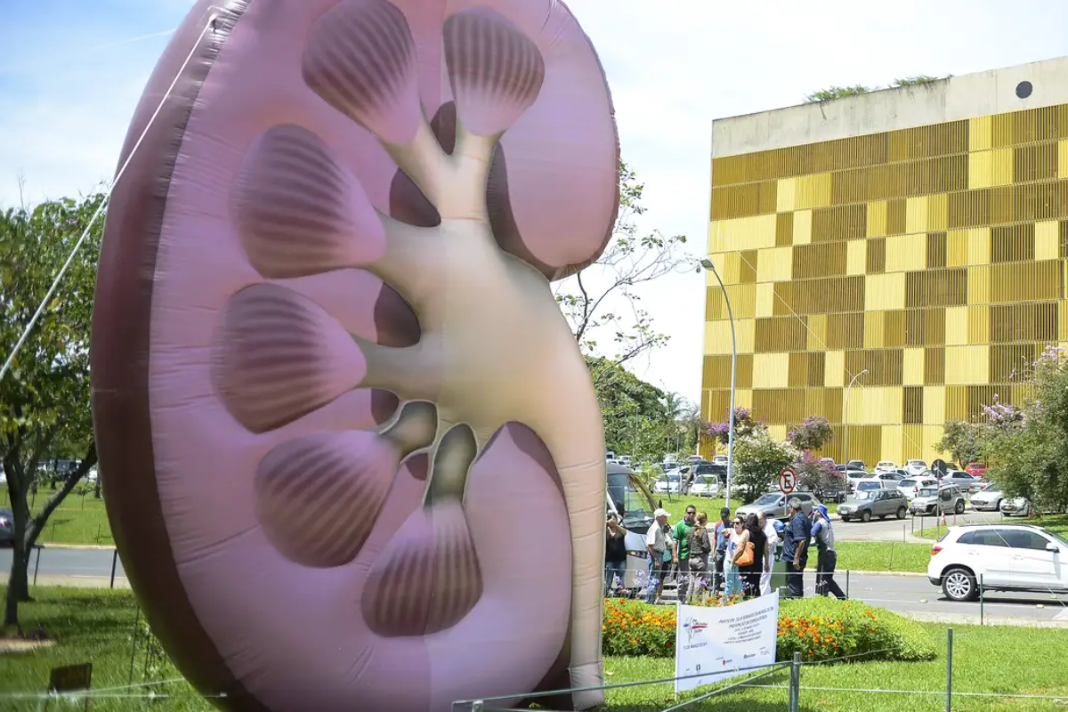 Descrição da imagem