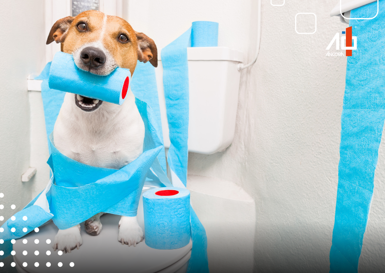 Descrição da imagem