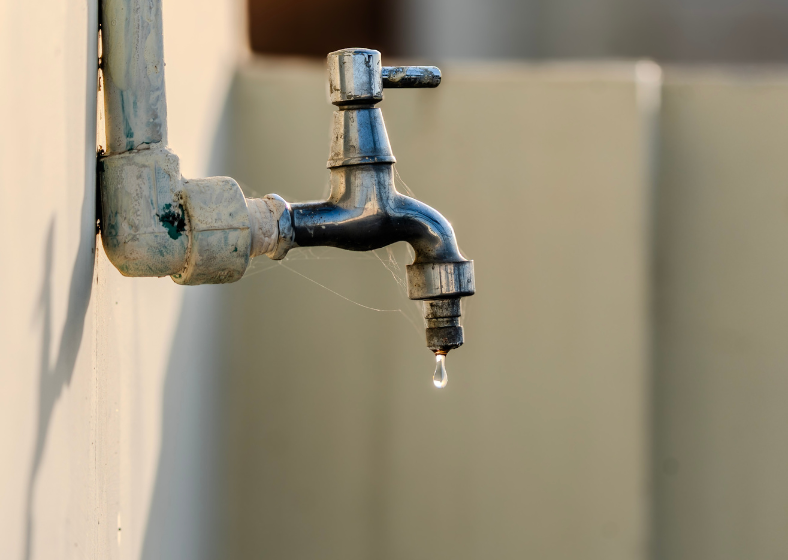 Descrição da imagem