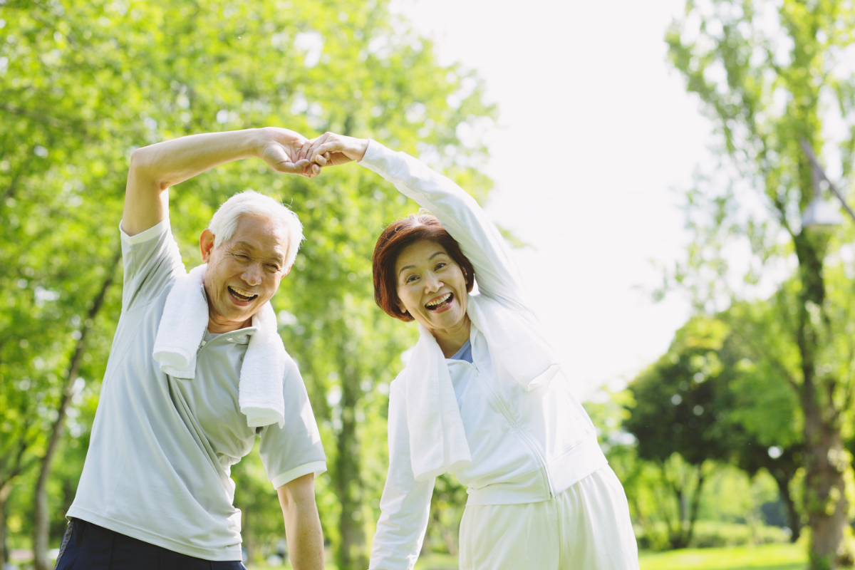 Descrição da imagem