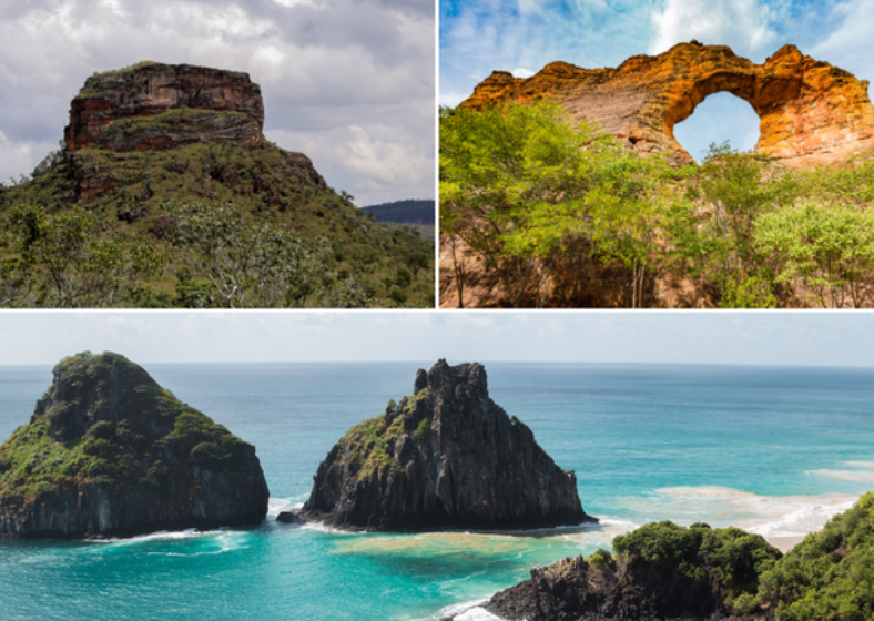 Descrição da imagem