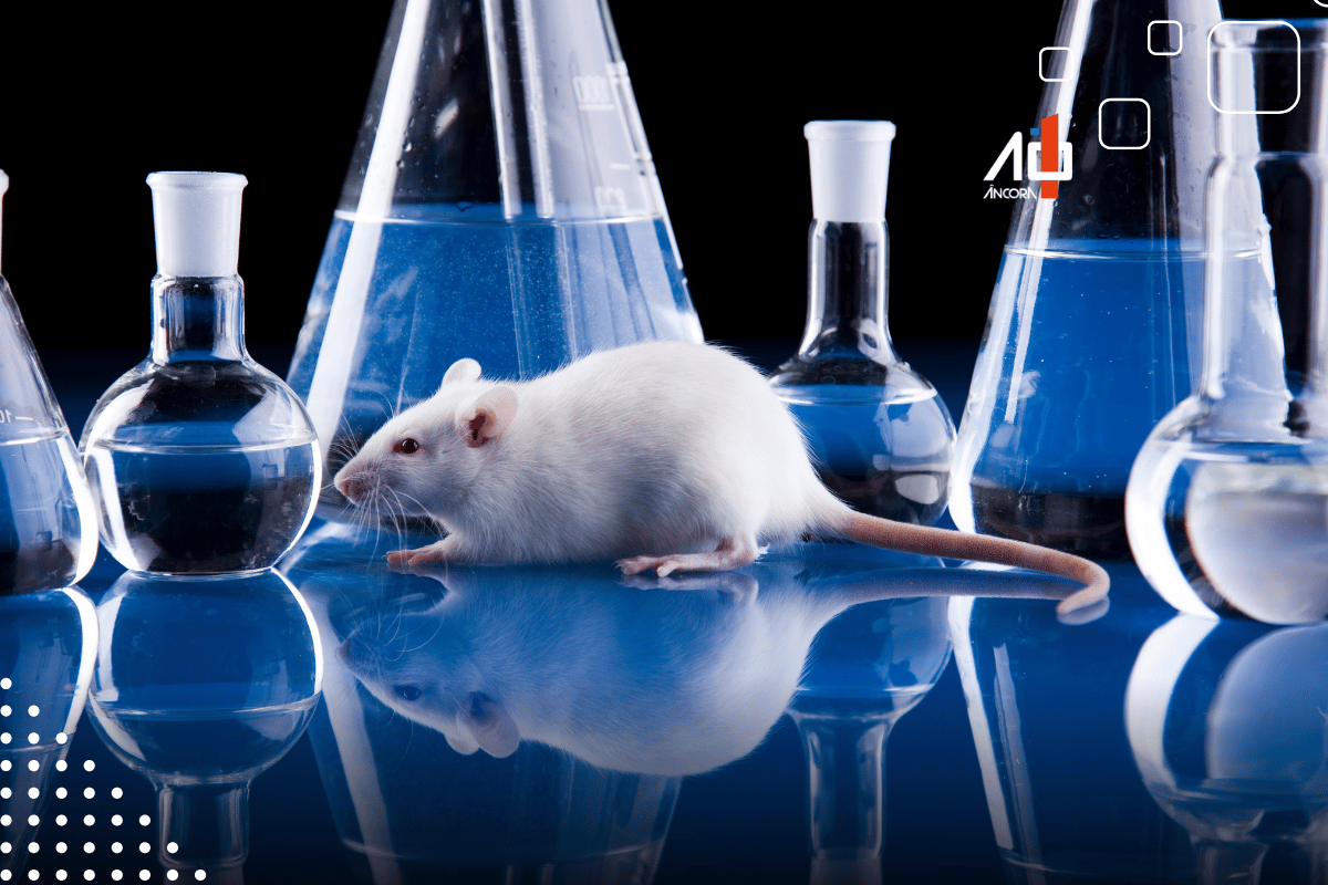 Descrição da imagem