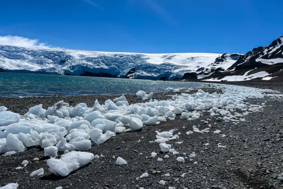 Descrição da imagem
