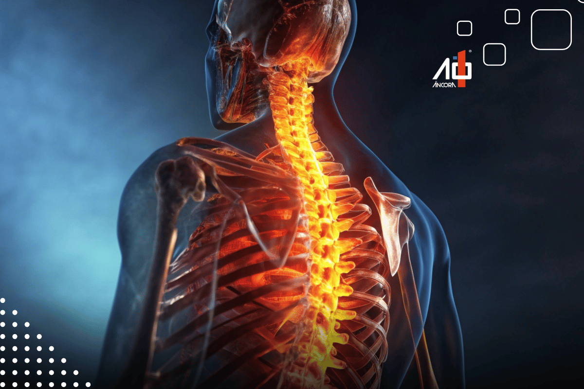 Descrição da imagem