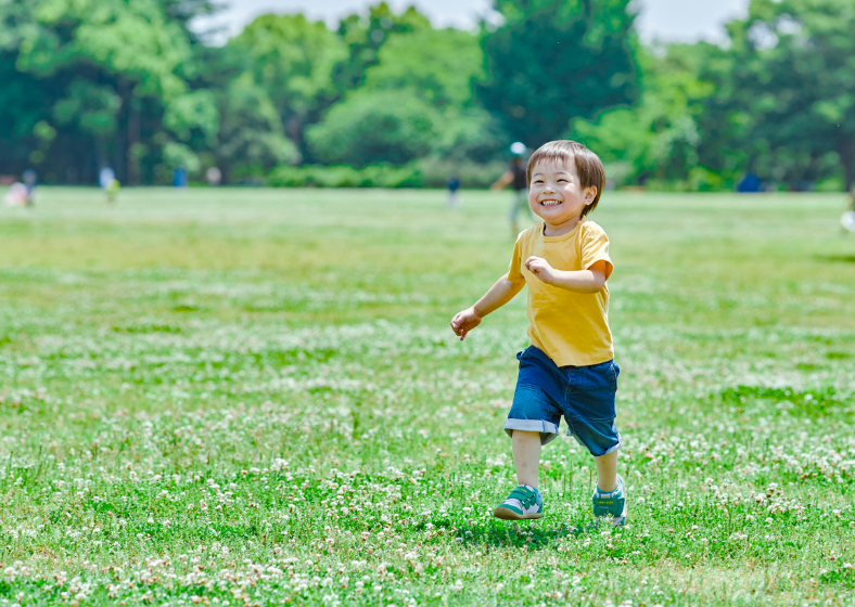 Descrição da imagem