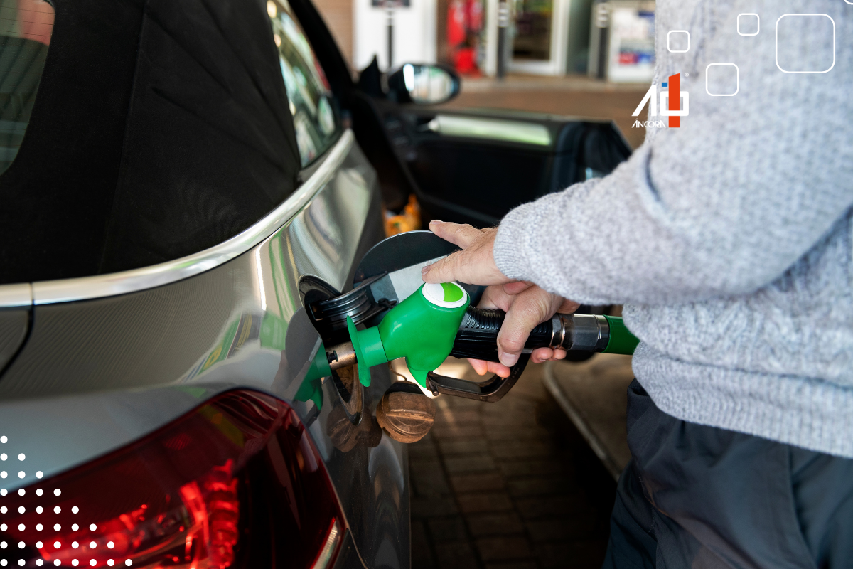 Descrição da imagem