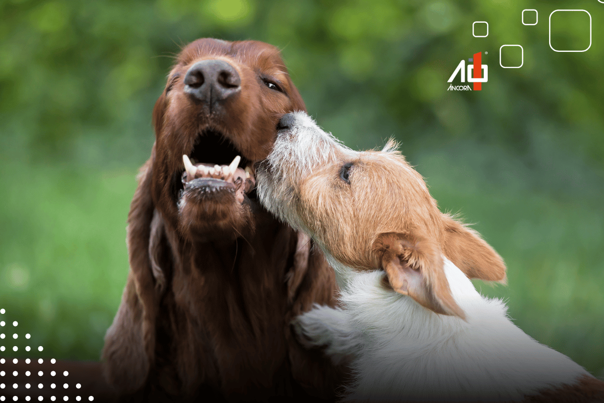 Descrição da imagem