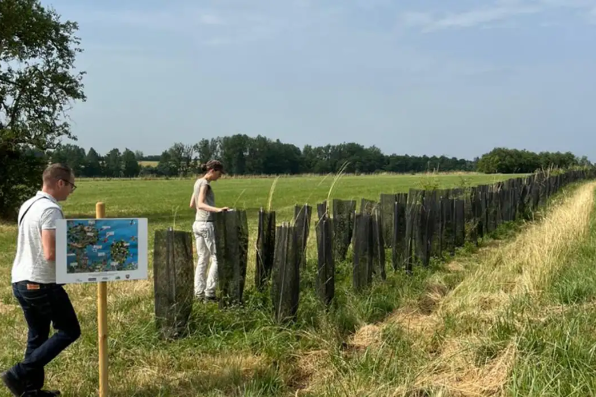 Descrição da imagem