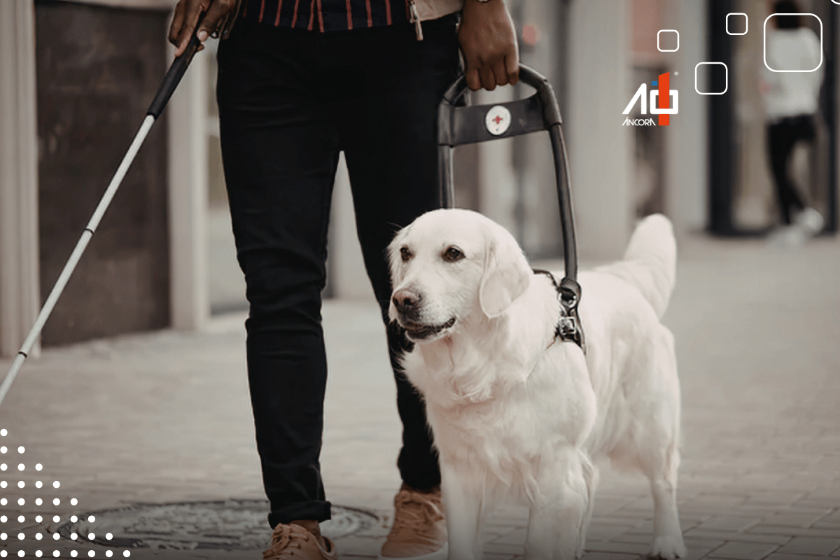 Descrição da imagem