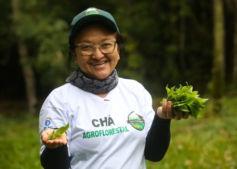 Descrição da imagem