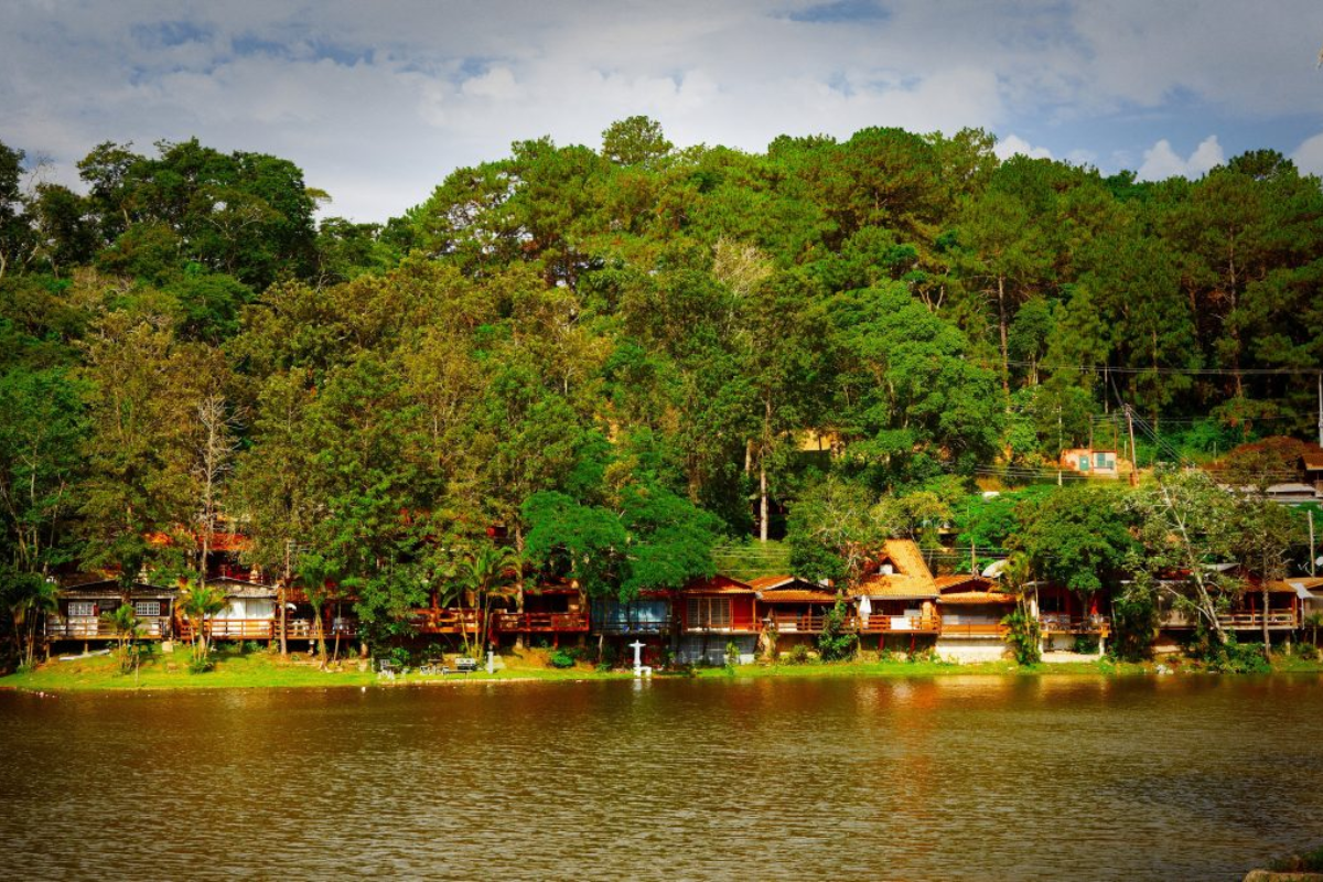 Descrição da imagem