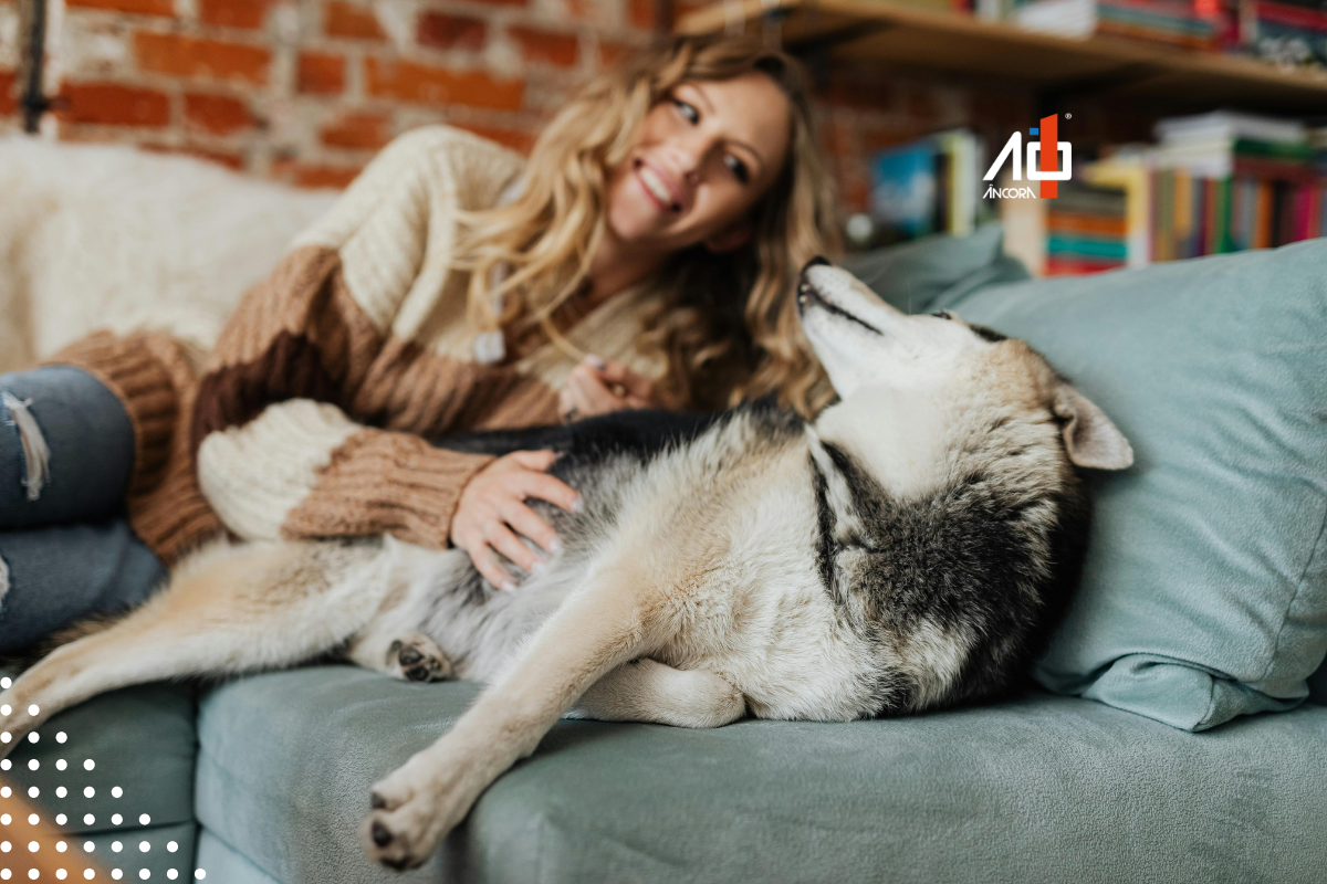 Descrição da imagem